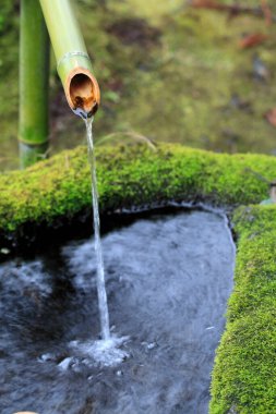 Bambu dalları ve akan sularla dolu çeşme. 