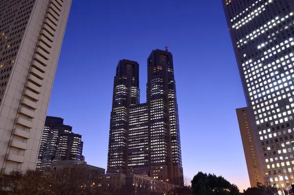 Vista Sobre Cidade Tokyo Paisagem Urbana Moderna — Fotografia de Stock