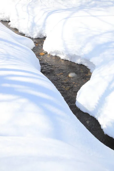 Snötäckt Flod Vinterskogen — Stockfoto