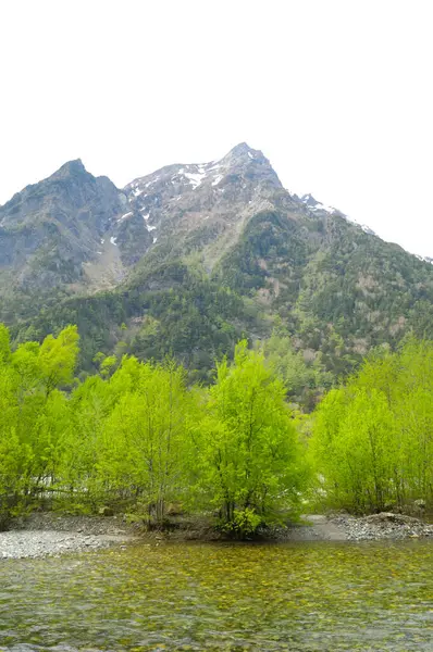 川と木が並ぶ山の範囲は — ストック写真