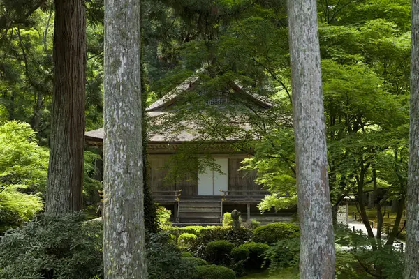 Японский Сад Японском Киото — стоковое фото