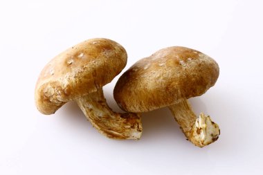 Beyaz arkaplanda çiğ shiitake mantarları