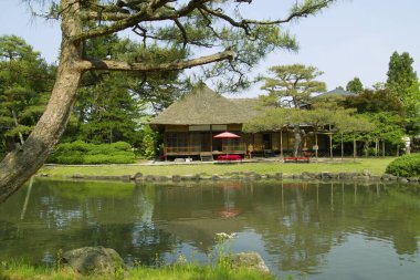 Göllü Japon bahçesi ve doğa arka planında evleri var.