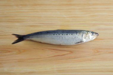 Tahta arka planda taze balık