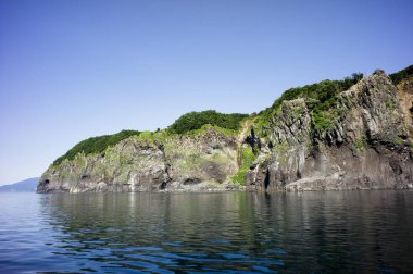 Deniz kıyısında göster