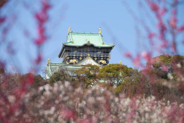 Tepedeki güzel Japon tapınağı, Budizm konsepti.