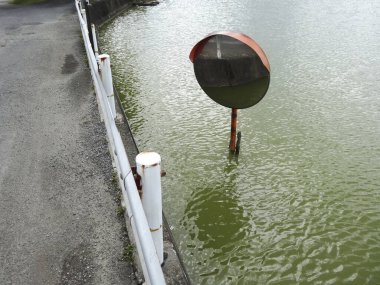 Bir dışbükey trafik aynası kısmen bulanık yeşil suya batmış bir yol ve bariyerlerin yanında..