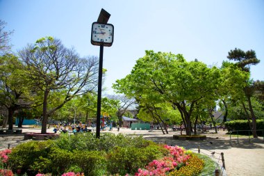 Japonya 'da çiçekli güzel bir park manzarası