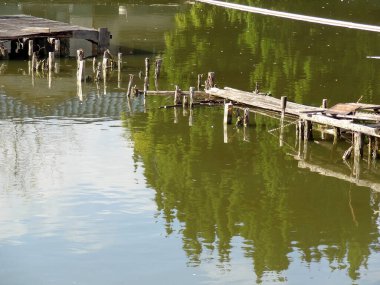 Asya parkındaki güzel, pürüzsüz göl, gündüz manzarası