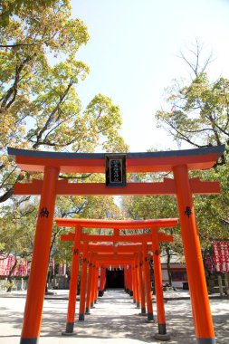 Japonya 'daki Kusumoto Inari Tapınağı' nın Torii kapısı