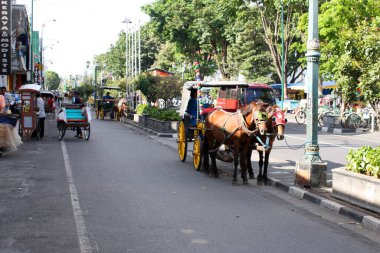 At arabaları caddeye park edilmiş.