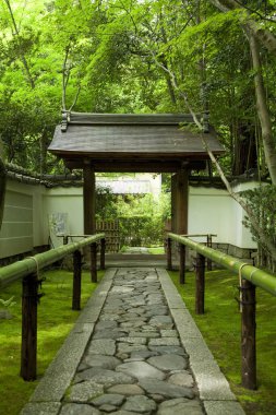 Yeşil ağaçlı ve geleneksel Japon mimarisi olan güzel Japon bahçesi manzarası