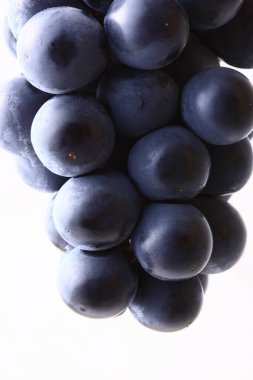 Beyaz arka planda taze mavi üzümler