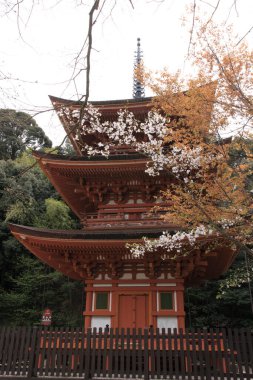 Güzel Japon tapınağı, Budizm konsepti