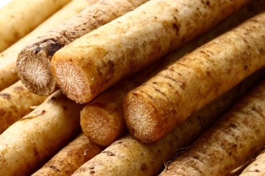 Arka planda çiğ Çin yer elması sebzeleri, kapatın.