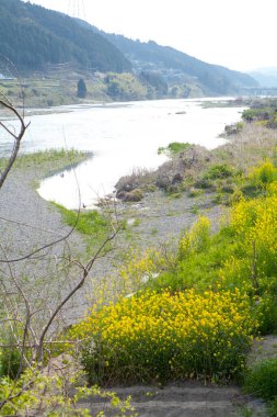 Nehir ve dağ olan güzel bir manzara.
