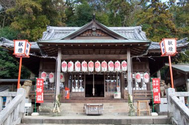 Geleneksel Asyalı alıcı detay görünümü