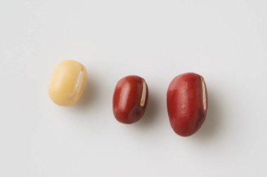 Different types of beans arranged in a row on a neutral background showcasing their distinct shapes and colors clipart