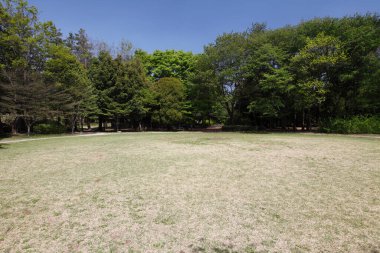 Yaz gününde park et. 