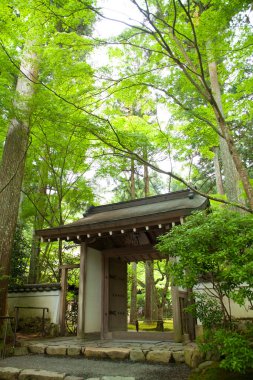 Su ve bonsai ağaçlı Japon bahçesi