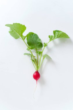 Beyaz arkaplanda kırmızı turp