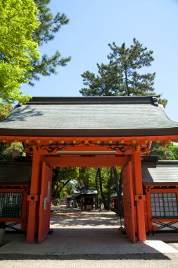 Japonya 'daki Japon tapınağı doğa geçmişi üzerine