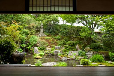 Su ve bonsai ağaçlı Japon bahçesi