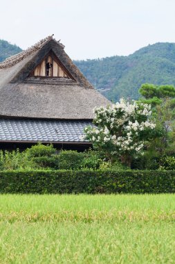 Japonya 'daki Japon bahçesinde güzel mimari
