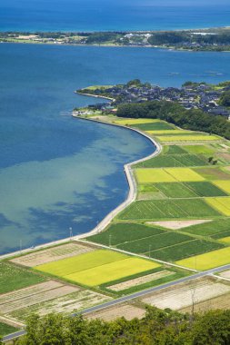 Çeltik pirinç tarlalarının ve denizin havadan görünüşü 
