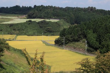 Kırsalda bir nehri olan güzel bir manzara.
