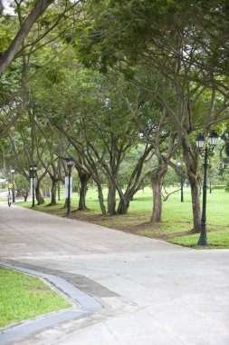 Yapraklı dalların altındaki yeşil parkta kıvrılan ağaçlarla kaplı patika.
