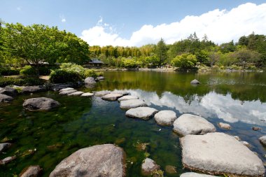 Doğadaki gölün güzel manzarası.