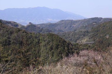 Yazın yeşil dağların güzel manzarası 