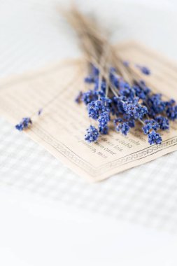 Açık arkaplanda kurumuş lavanta çiçeklerinin yakın plan görüntüsü