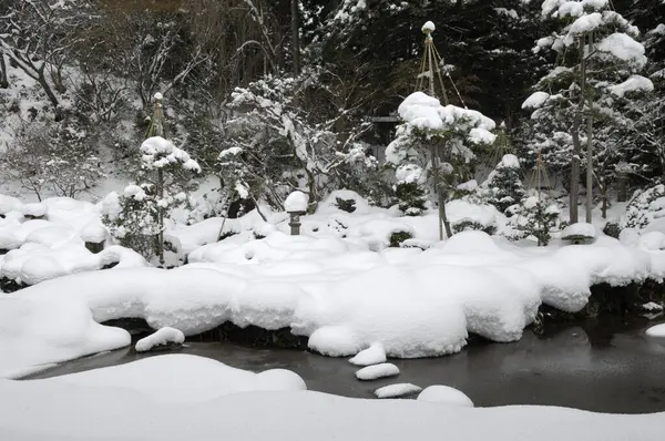 Kış Ormanındaki Derenin Havadan Görünüşü — Stok fotoğraf
