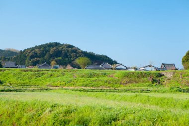 Köy manzarası ve yeşil alan 