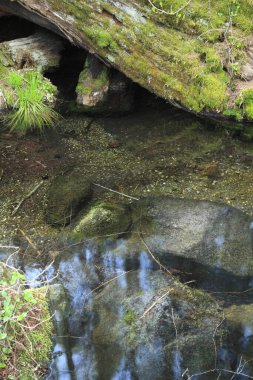 Dağlardaki küçük bir derenin yakın çekimi.