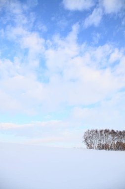 Arkaplan için güzel karlı manzaranın manzaralı görüntüsü