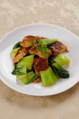 Lezzetli Asya mutfağı yakın çekim görüntüsü