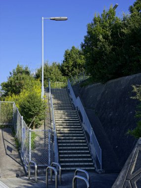 Beton merdiven, açık gökyüzünün altındaki yeşil ağaçların yanında yükseliyor.