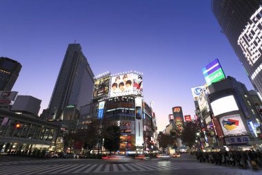 Ördek şehir manzarası, şehir arkaplanı, Japonya 