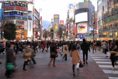 Ördek şehir manzarası, şehir arkaplanı, Japonya 
