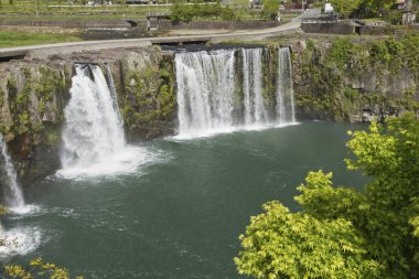 Ormandaki şelale manzarası