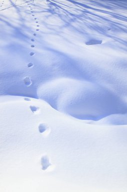 Arkaplan için güzel karlı manzaranın manzaralı görüntüsü