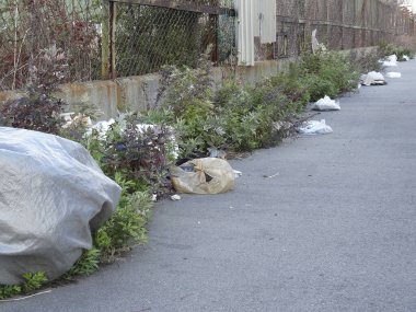 Aşırı gelişmiş otların ve paslı çitlerin yakınındaki kırık kaldırımları kirleten plastik torbalar.
