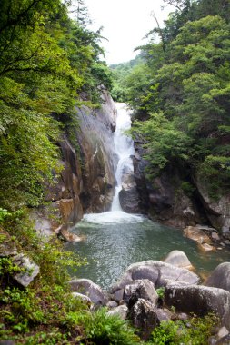 Ormanda güzel bir şelale