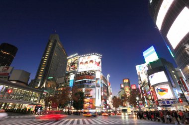 Ördek şehir manzarası, şehir arkaplanı, Japonya 