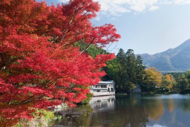 Sonbahar renklerinde akçaağaç ağaçları gölde