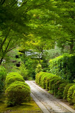 Jakko-in Tapınağı, Kyoto, Japonya