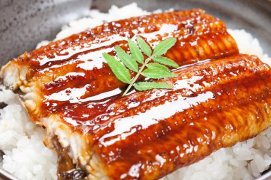 soslu marinelenmiş yılan balığı ve haşlanmış pirinç. 